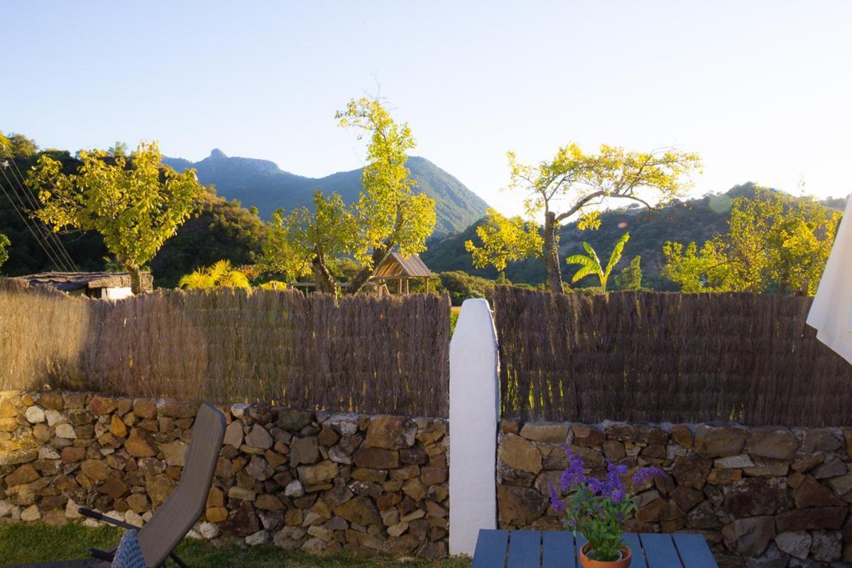 Finca El Huertezuelo El Bosque Exterior foto